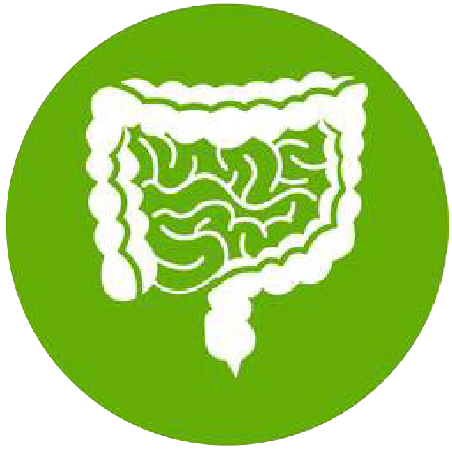 關(guān)注職場(chǎng)“腸”態(tài)，守護(hù)員工健康——上海格瑞特特邀消化內(nèi)科專家公益系列講座（4）(圖1)