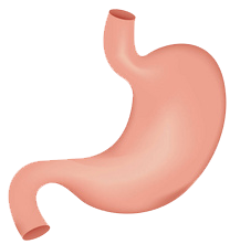 關(guān)注職場(chǎng)“腸”態(tài)，守護(hù)員工健康——上海格瑞特特邀消化內(nèi)科專家公益系列講座（4）(圖9)